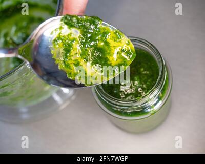 Pesto Ramson e ingredienti per cucinarlo su un tavolo da cucina. Riempimento del vetro Foto Stock