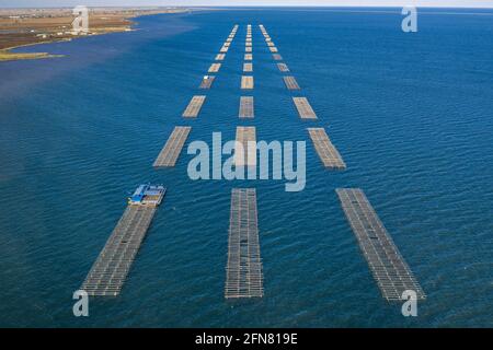 Vista aerea delle fattorie di mitili nella baia di Alfacs (Badia dels Alfacs) al tramonto, nel delta dell'Ebro (provincia di Tarragona, Catalogna, Spagna) Foto Stock