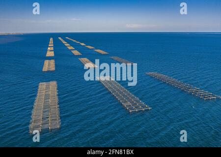 Vista aerea delle fattorie di mitili nella baia di Alfacs (Badia dels Alfacs) al tramonto, nel delta dell'Ebro (provincia di Tarragona, Catalogna, Spagna) Foto Stock