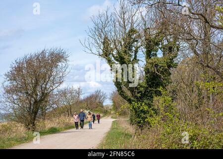 Sentiero escursionistico, Gelting Birk Riserva Naturale, Gelting Bay, Schleswig-Holstein, Germania Foto Stock