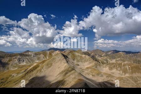 Vista dalla cima Bastiments (Ripollès, Catalogna, Spagna, Pirenei) ESP: Viste desde la cumbre del Bastiments (Ripollès, Cataluña, España) Foto Stock