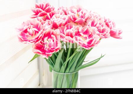 Bouquet di tulipani rosa e giallo su sfondo bianco chiaro davanzale. Atmosfera primaverile e concetto primaverile. Foto Stock