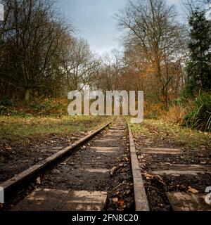 Una suggestiva pista ferroviaria a scartamento ridotto che attraversa un bosco nel parco di Haigh Woodland, Greater Manchester Foto Stock