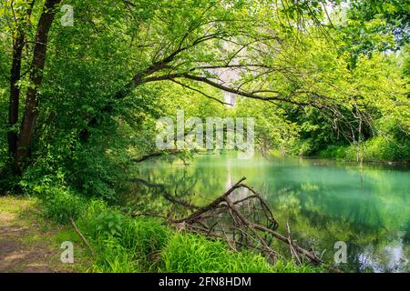 Iskar Panega Geopark lungo il fiume Gold Panega vicino Lukovit, Bulgaria Foto Stock