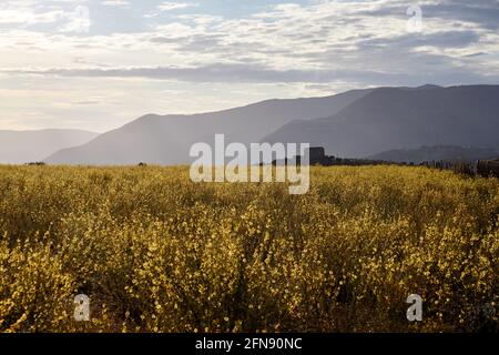 Da qualche parte nella campagna laziale, Italia Foto Stock