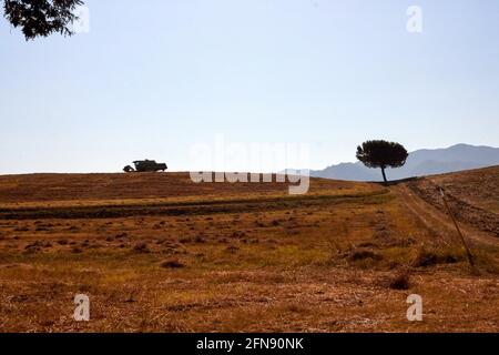 Da qualche parte nella campagna laziale, Italia Foto Stock