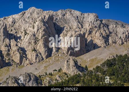 Pedraforca parete sud vista da Sorribes (Valle di Gósol, Catalogna, Spagna, Pirenei) ESP: Cara sur del Pollegó Superior del Pedraforca Foto Stock