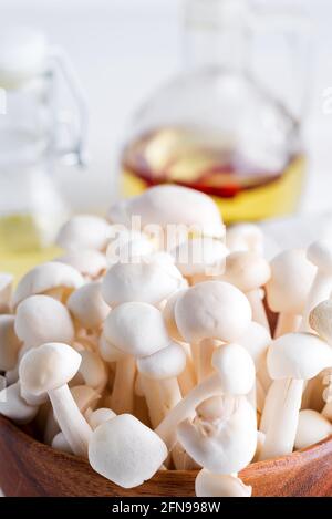 Funghi Hon-shimeji freschi o Bunna-shimeji su sfondo bianco. Foto Stock