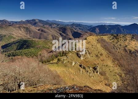 Camminando dalla cima di Comanegra verso la vetta del Puig de les Bruixes attraverso la catena Serra Llarga de Monars (Garottxa, Catalogna, Spagna, Pirenei) Foto Stock