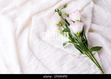 Eustoma fiori su sfondo bianco coperta, spazio di copia di posa piatto. Concetto di vacanza Foto Stock