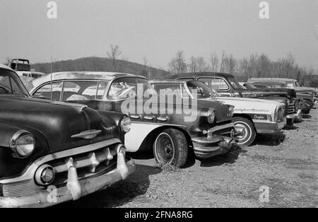 American Junkyard, 1956 Buick, Chrysler Foto Stock