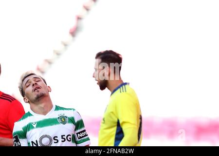 Lisbona, Portogallo. 15 maggio 2021. Pedro Goncalves dello Sporting CP (C) reagisce durante la partita di calcio della Lega Portoghese tra SL Benfica e Sporting CP allo stadio Luz di Lisbona, Portogallo, il 15 maggio 2021. Credit: Pedro Feuza/ZUMA Wire/Alamy Live News Foto Stock