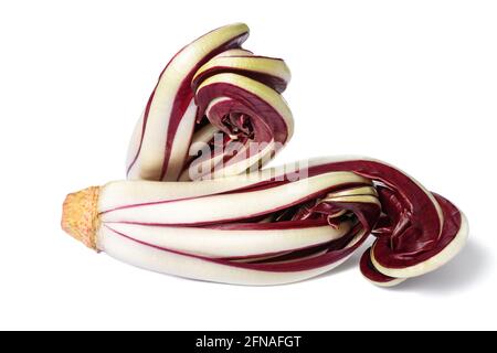 Radicchio Rosso radicchio di Treviso isolato su bianco Foto Stock