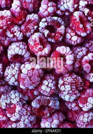Sfondo di lamponi rossi congelati ricoperti di brina. Primo piano. Messa a fuoco morbida o selettiva. Texture frutta verticale Foto Stock