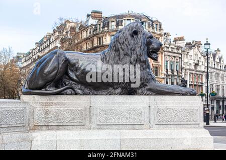 Una delle quattro statue di leoni di Trafalgar Square che custodisce la colonna di Nelson a Trafalgar Square, Londra, Inghilterra, Regno Unito. Foto Stock