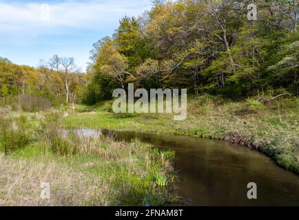 Fiumi e spiagge sabbiose lungo l'Indiana Dunes state Park Foto Stock