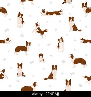 Contorno collie clipart. Pose diverse, colori del rivestimento. Illustrazione vettoriale Illustrazione Vettoriale