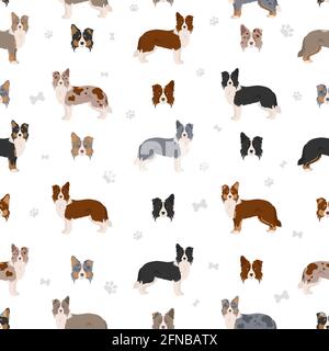 Contorno collie clipart. Pose diverse, colori del rivestimento. Illustrazione vettoriale Illustrazione Vettoriale