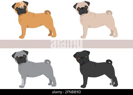 Ritaglio PUG. Pose diverse, colori del rivestimento. Illustrazione vettoriale Illustrazione Vettoriale