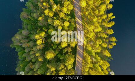 Vista aerea estiva del famoso crinale di Punkaharju nella Finlandia orientale all'inizio dell'estate con foglie verdi chiare. Foto Stock