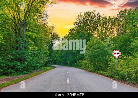 Nessun segnale di sorpasso su tortuosa strada asfaltata in un verde foresta Foto Stock