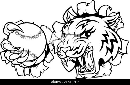 Tiger giocatore di Tennis Sport di animale mascotte Illustrazione Vettoriale