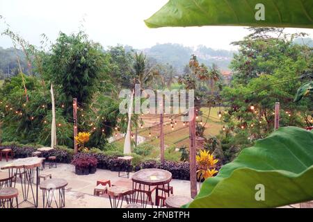 diverse panchine e tavoli in legno sul bordo della foto dei campi di riso Foto Stock