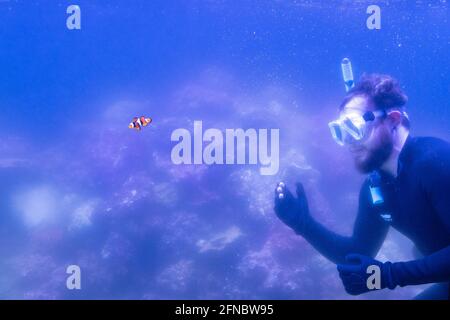 L'acquarista Jeremy Simmons con un pesce pagliaccio alla nuova mostra "Tiny Giants" allo ZSL London Zoo, che ospita un acquario lungo 7 metri, pieno di coralli salvati dal commercio illegale di animali selvatici negli ultimi due decenni, E che si apre al pubblico il lunedì dopo le restrizioni di blocco sono attenuati. Data di emissione: Domenica 16 maggio 2021. Foto Stock