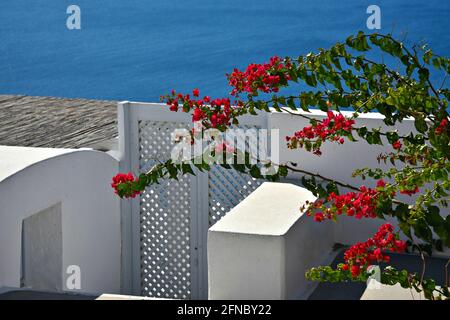 Paesaggio panoramico con una bougainvillea rossa che sale su una tipica casa bianca porta d'ingresso nell'isola di Santorini, Cicladi Grecia. Foto Stock