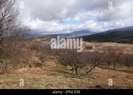 Vista su Rannoch Moor da Leagag con Loch Monaghan in primo piano e Loch Rannoch in lontananza, Scozia, Regno Unito Foto Stock