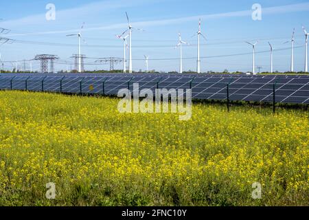 Campo di canola in fiore con produzione di energia alternativa visto in Germania Foto Stock