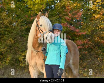 Giovane pilota e cavallo Haflinger in autunno Foto Stock