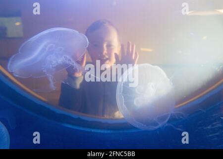 ZSL London Zoo Jeremy Simmons Plants Corals è stato salvato dal commercio illegale di fauna selvatica in un nuovo serbatoio di sette metri di lunghezza della barriera corallina questa mattina (domenica 16 maggio) - prima del lancio della nuova mostra dello Zoo, Tiny Giants: From Minibeast to Coral Reef. Le immagini dietro le quinte mostrano gli esperti aquarist e i custodi dello Zoo che si preparano per la prima volta domani (lunedì 17 maggio) ad aprire le porte dei minuscoli giganti, in linea con la tabella di marcia del governo per l’allentamento delle restrizioni. Foto Stock