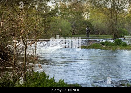 giovane pescatore in piedi al bordo di una piccola cascata in un ruscello pesca e casting nel mezzo di natura al crepuscolo con riflettori selettivi Foto Stock