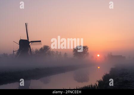 Alba su un paesaggio olandese nella nebbia con mulino a vento Il 'Westveense Molen' nel cuore verde dell'Olanda Foto Stock