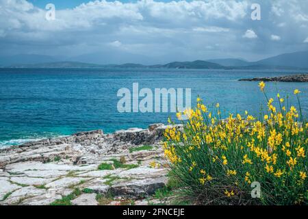 Splendido paesaggio estivo con laguna di mare, rocce e scogliere, erba verde e fiori gialli sulla costa, montagne all'orizzonte e nuvole sulla Foto Stock