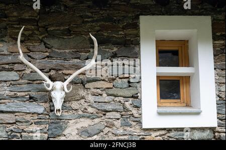 Cranio di cervo appeso su un muro di pietra di una capanna alpina. Foto Stock
