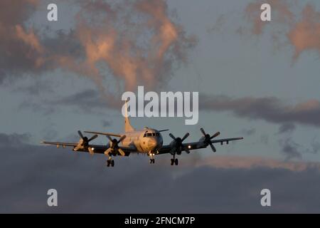 Un velivolo da ricognizione marittima Lockheed P-3C Orion si prepara a sbarcare presso lo stabilimento Naval Air di Kanagawa. Foto Stock