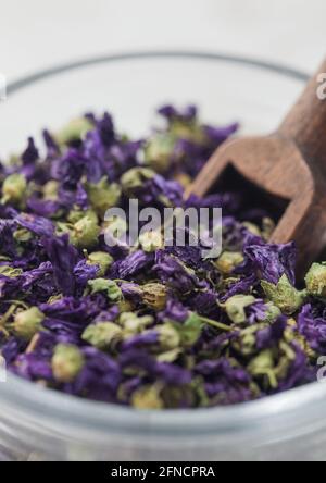 Primo piano tè fiori di mallow blu in vaso di vetro con paletta di legno su sfondo bianco. Foto Stock