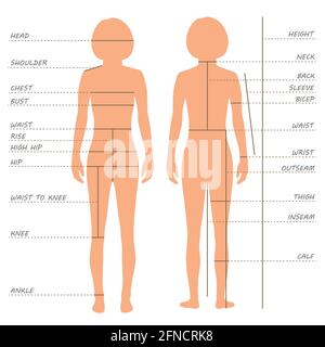 grafico delle dimensioni delle misure del corpo vettoriale, modello di abbigliamento femminile, cucitura Illustrazione Vettoriale