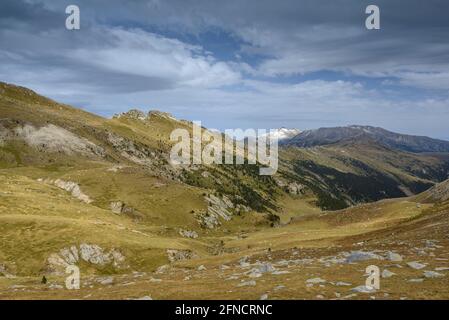 Canigou visto dal passo del Colle de Pal, tra le cime Costabona e Roca Colom (Pirenei Orientali, Occitanie, Pirenei) Foto Stock