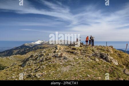 Costabona vista sulla vetta in autunno, guardando al massiccio del Canigou, nei Pirenei orientali (Pirenei Orientali, Occitanie, Francia) Foto Stock