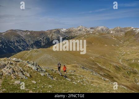 Vista sulla cima Costabona in autunno, guardando la regione di Vallter e Bastiments, nei Pirenei orientali (Ripollès, Catalogna, Spagna) Foto Stock