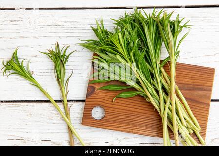 Sopra la vista del willoweb verde o conosciuto come fireweed Chamaenerion angustifolium giovani radici fresche in primavera in cucina a casa preparazioni. Foto Stock