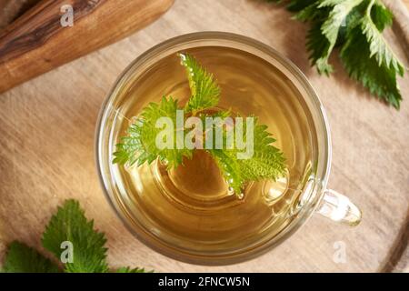 Una tazza di tè di ortica con Urtica dioica fresca erba Foto Stock