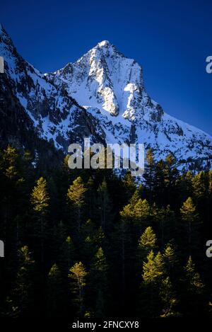 Picco PIC de Peguera visto dal lago Estany de Sant Maurici in un'alba primaverile (Parco Nazionale Aiguestortes i Sant Maurici, Catalogna, Spagna, Pirenei) Foto Stock