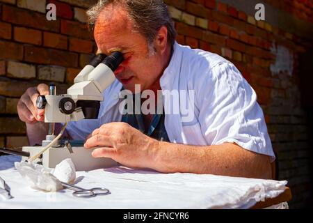Un veterinario sta esaminando un campione di carne, tessuto polmonare di maiale, sulla trichinosi, guardando su piastrelle di vetro sotto un microscopio elettrico presso un laboratorio esterno Foto Stock