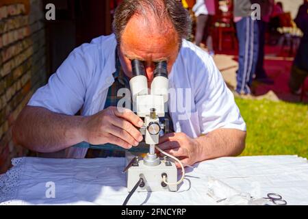Un veterinario sta esaminando un campione di carne, tessuto polmonare di maiale, sulla trichinosi, guardando su piastrelle di vetro sotto un microscopio elettrico presso un laboratorio esterno Foto Stock