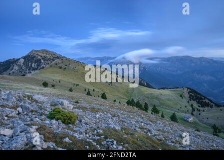 Alba sulla montagna Serra de Ensija, con il massiccio della Pedraforca sullo sfondo (Berguedà, Catalogna, Spagna, Pirenei) Foto Stock