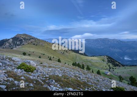 Alba sulla montagna Serra de Ensija, con il massiccio della Pedraforca sullo sfondo (Berguedà, Catalogna, Spagna, Pirenei) Foto Stock